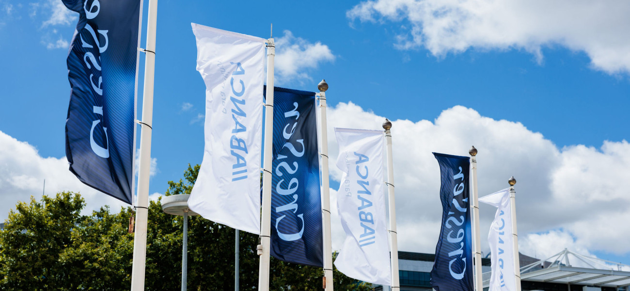 Confer&ecirc;ncias e Congressos